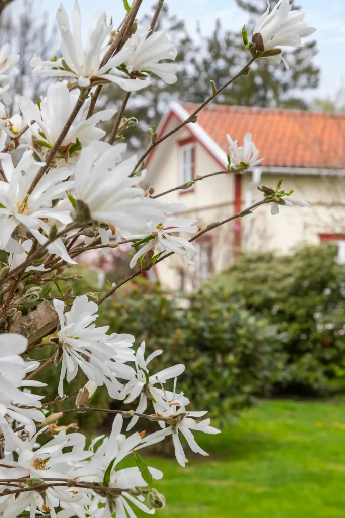 Aed - 1900s Villa with Garden in Veddige