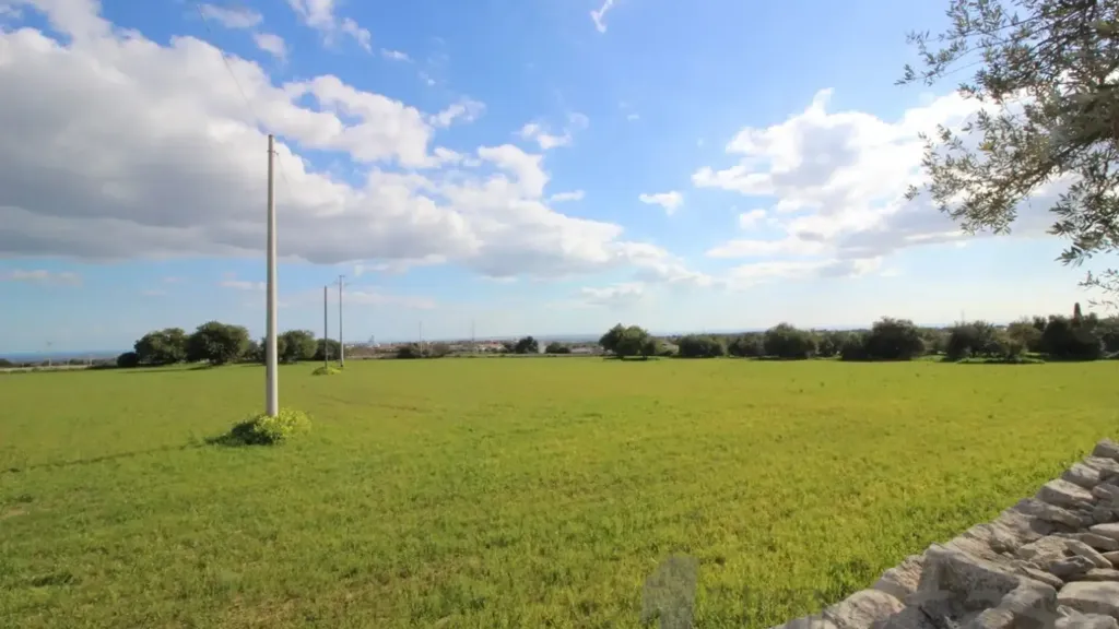 Aed - Rustic Farmhouse with Olive Grove near Rosolini