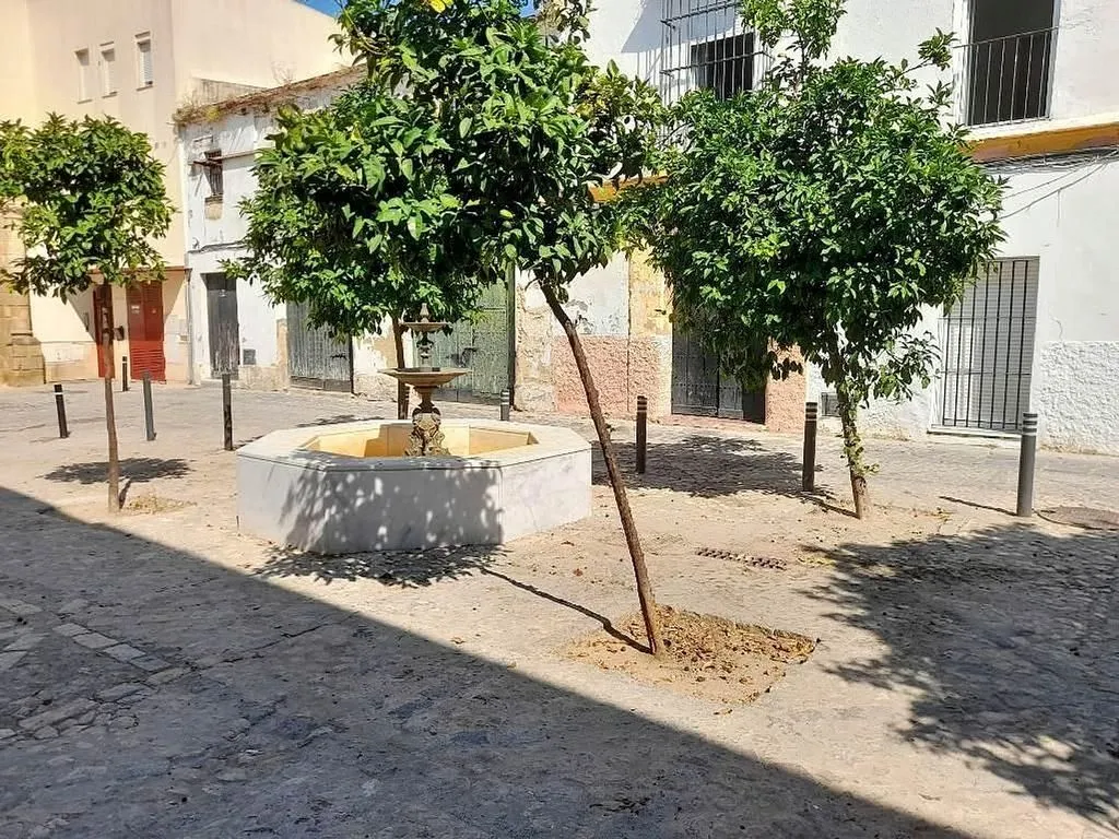 Aed - Reformed Flat with Central Location in Jerez