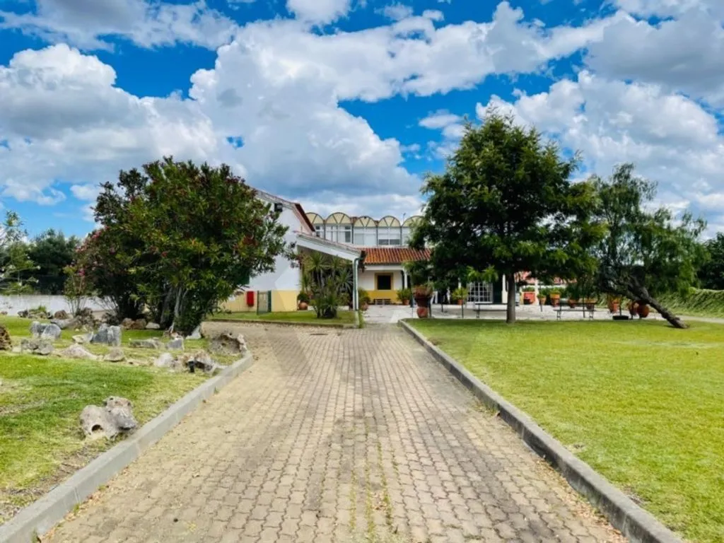 Välivaade - Luxury Event House with Vineyard in Tomar