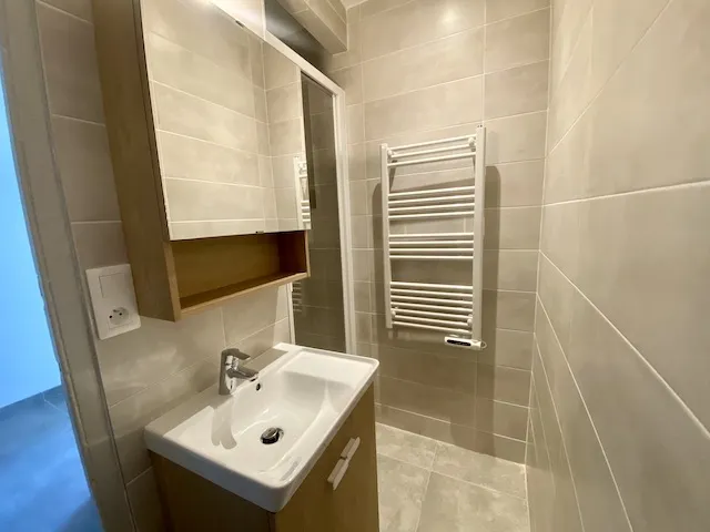 Salles de bain - Appartement Rénové au Calme à la Loubière