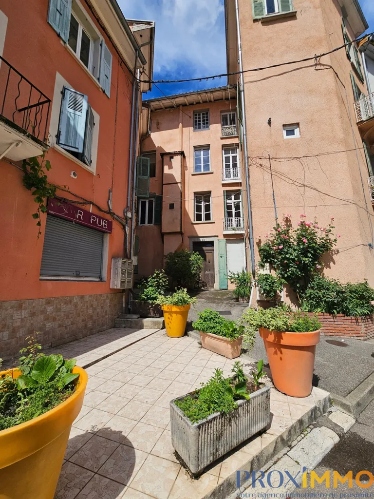 Jardin - Appartement Rénové avec Balcon au Centre de Voiron