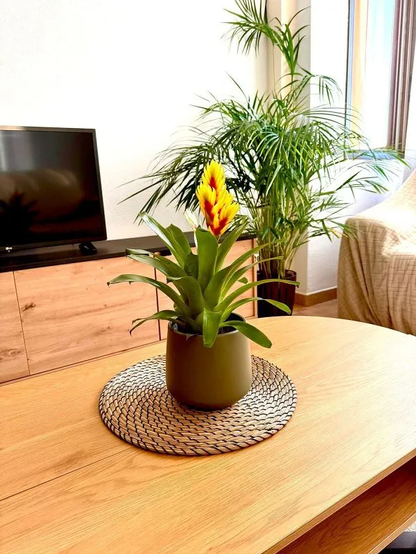 Living Room - Duplex with Sea View in San Cristóbal de La Laguna