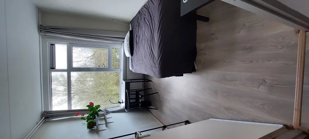 Magamistoad - Female-Only Room in Amsterdam-Noord