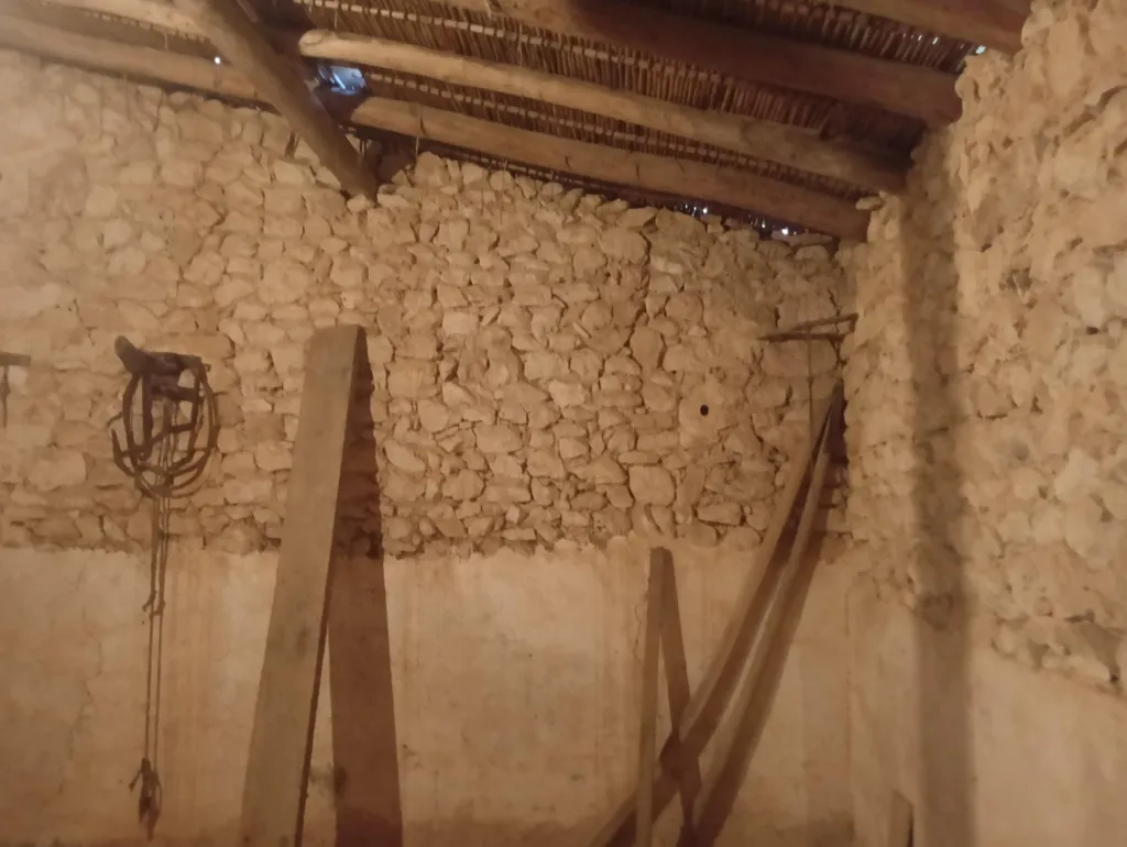 Toad - Luxury Farmhouse with Well in Manacor