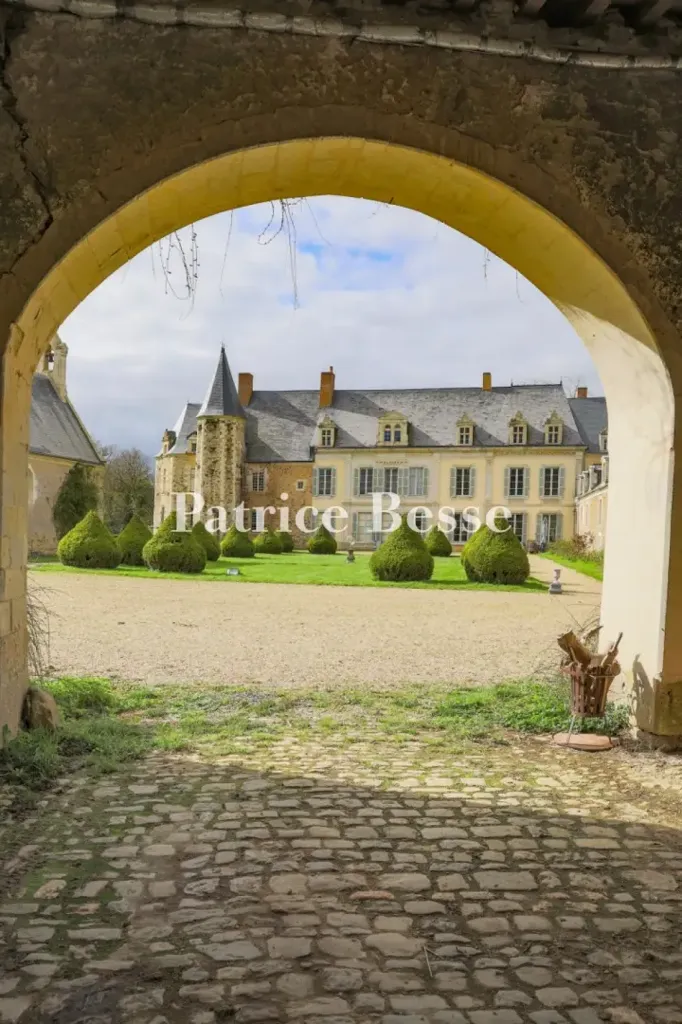 Aed - Historic Château with Chapel in Anjou