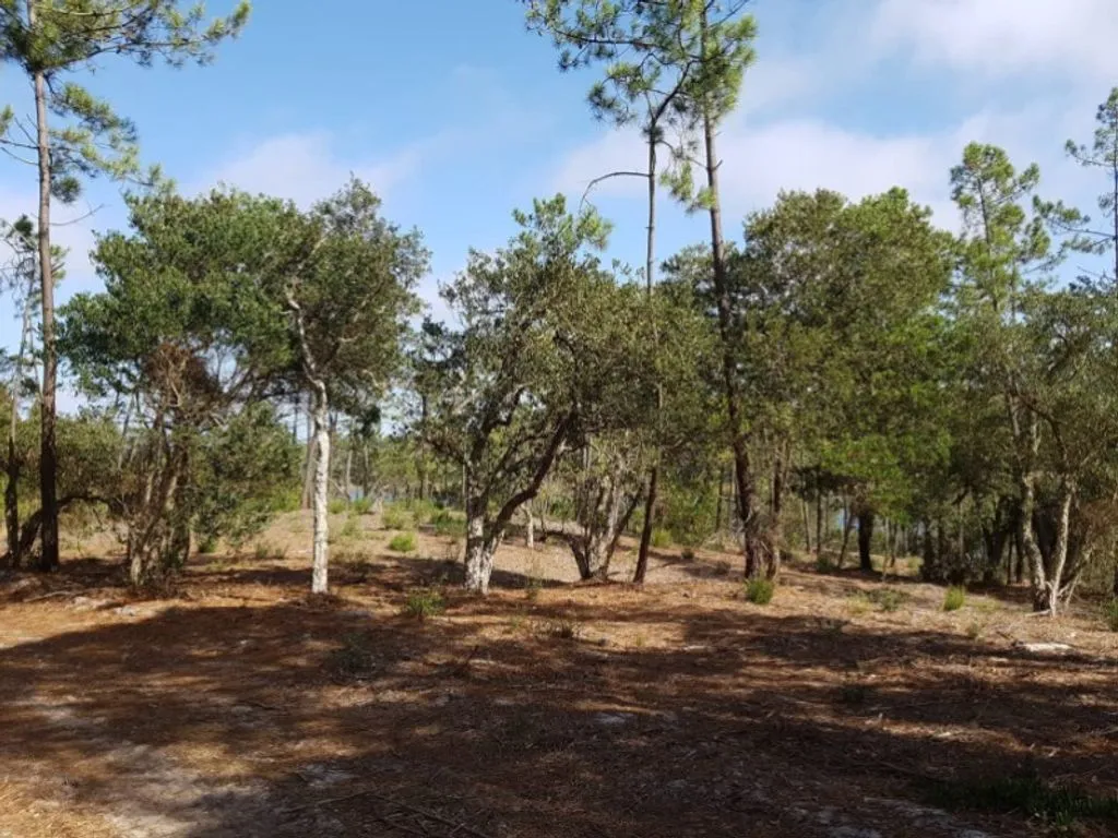 Jardin - Hotel Development Plot near Obidos Lagoon