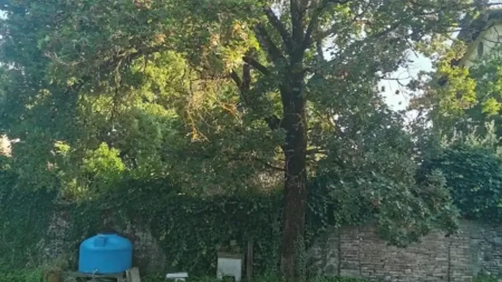 Jardin - Rustic Casale with Private Garden in Scarperia