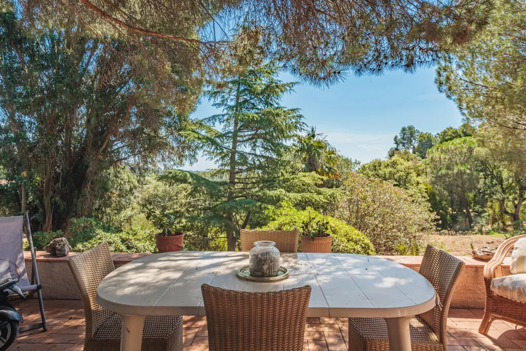terrace_patio