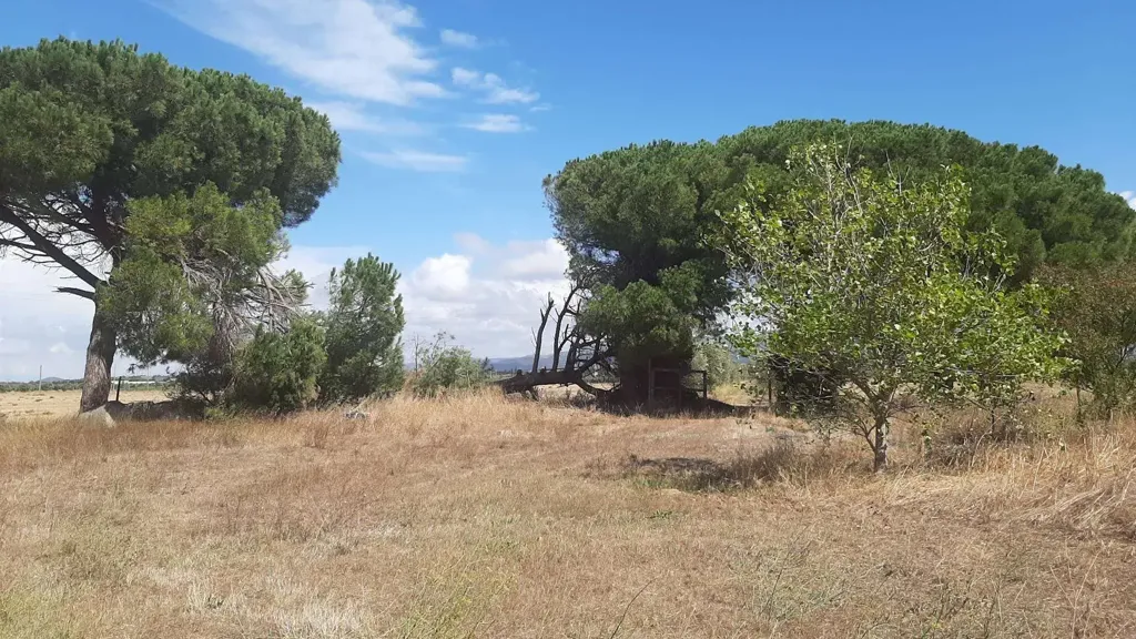 Jardin - Tuscan Farmhouse with Orchard in Rosignano Marittimo