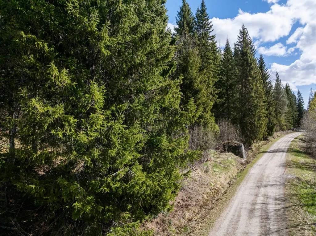Giardino - Unbuilt Land with Forest in Sundsvall