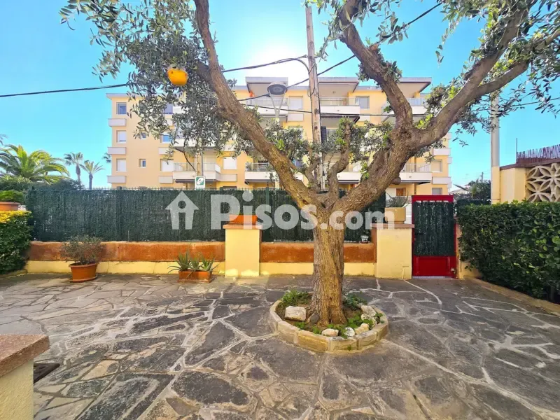 Jardin - Reformed Flat with Sea View in L'Aragai