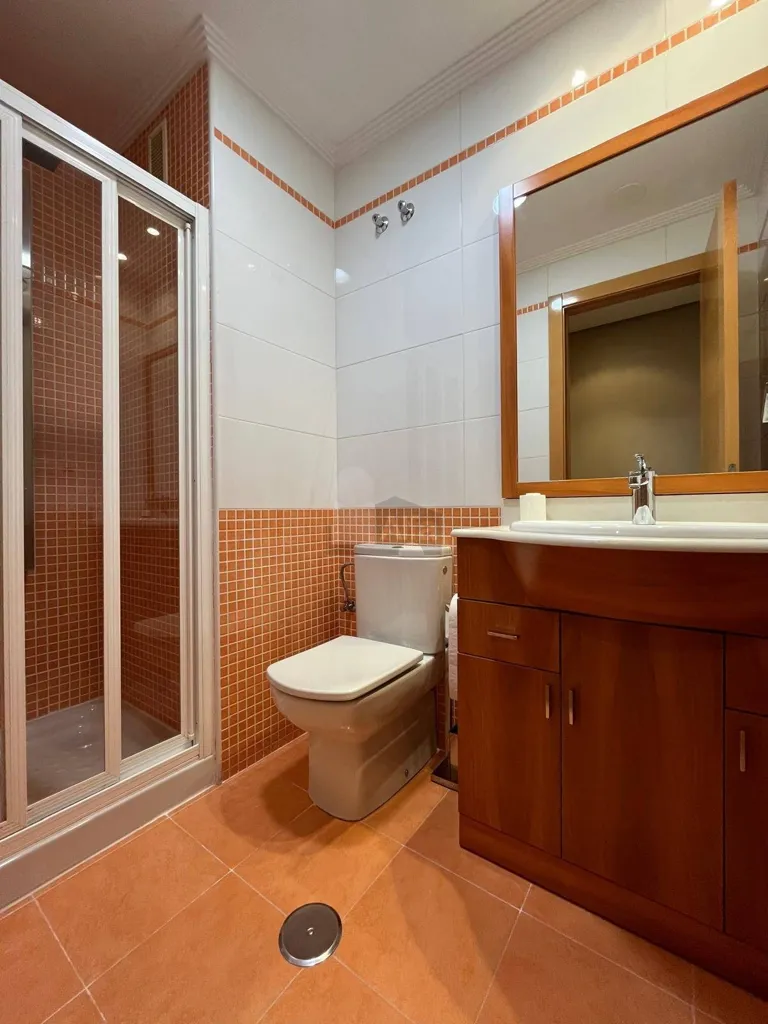 Salles de bain - Furnished Flat with Garden near Gran Vía, Vigo