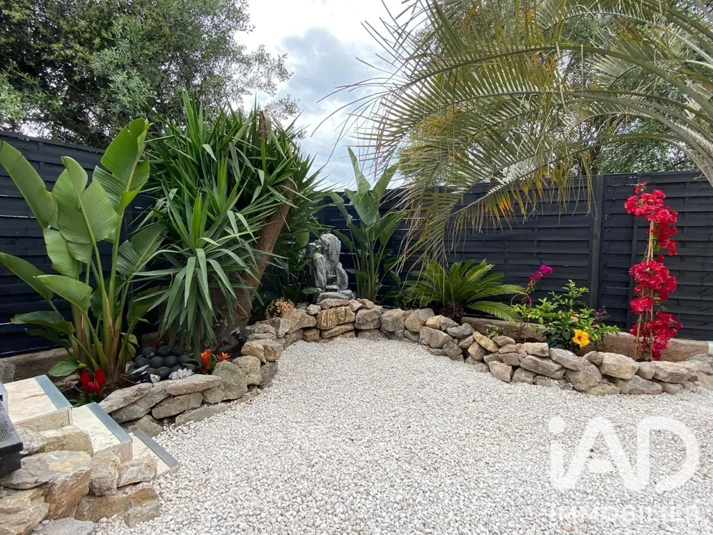 Jardin - Maison Rénovée avec Piscine à Puget-Sur-Argens
