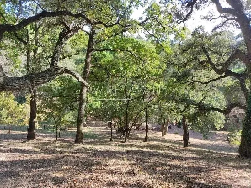 Jardin - Bastide avec Vue Panoramique à La Garde-Freinet