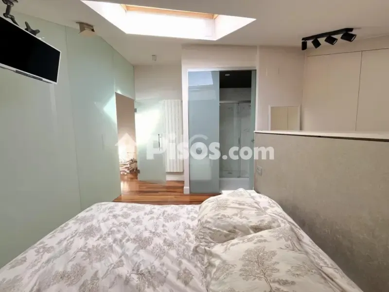Magamistoad - Duplex with Terrace and Views in Bilbao