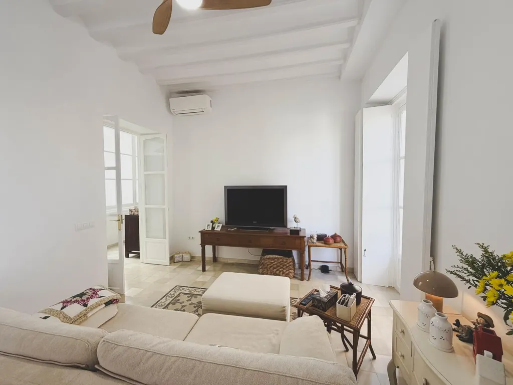 Séjour - Historic Flat with Balcony in Plaza España