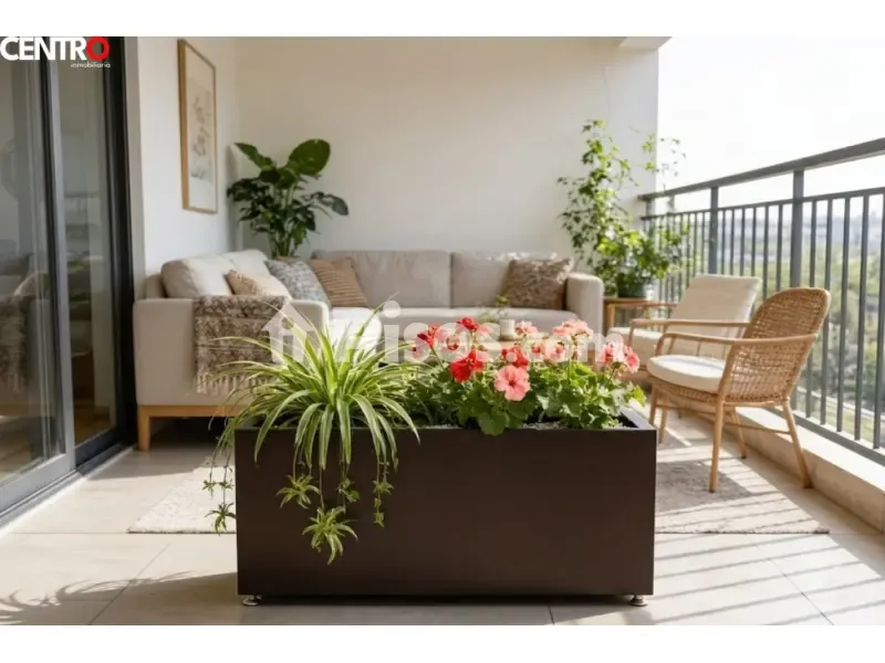 Terrace - Apartment with Terrace in La Zubia Centre