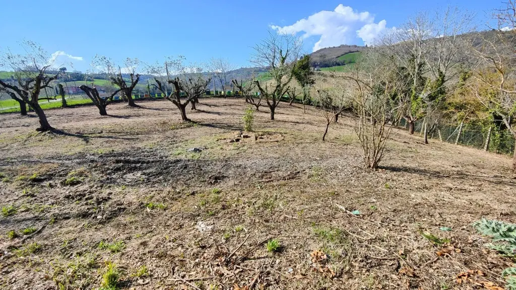Jardin - Rustic House with Garden in Castignano