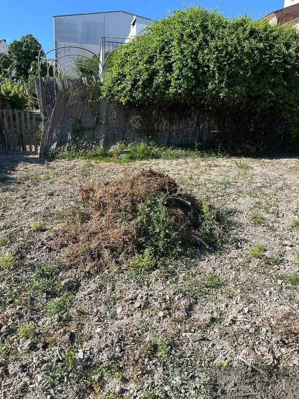 Aed - Plot for Development in Rute
