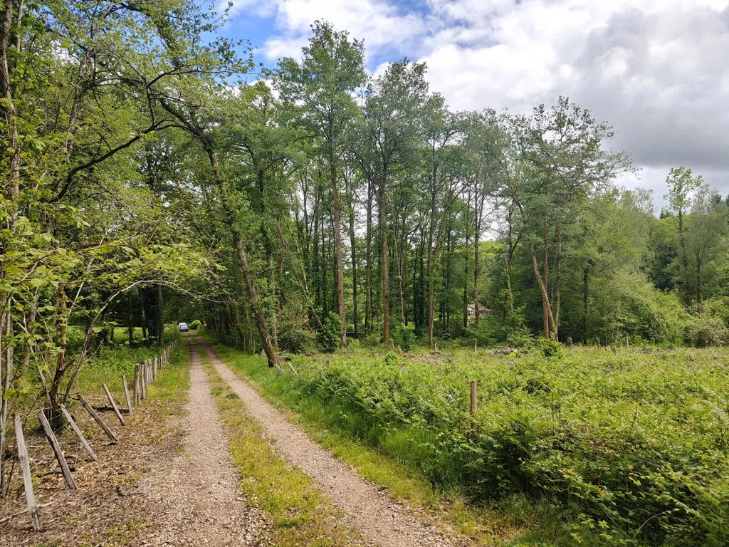 Jardin - Maisonnette avec Deux Étangs dans le Périgord Vert