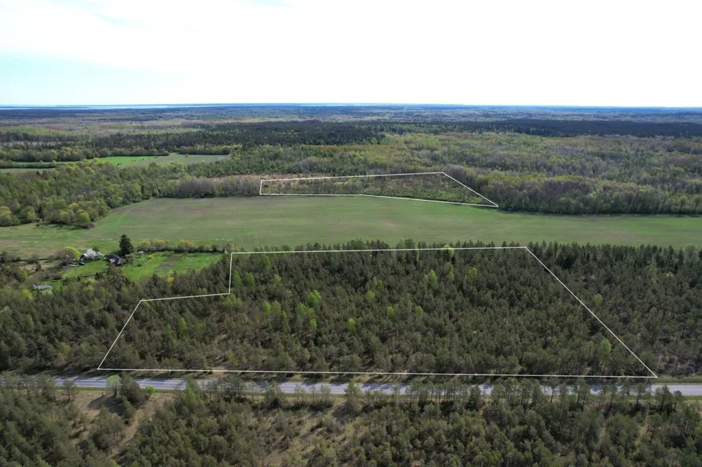 Vue aérienne - Forested Land with Access Road in Väike-Võhma, Saaremaa