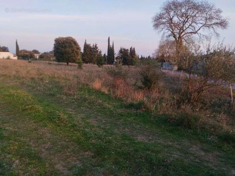 Garden - 1050 m² Plot in Moussoulens