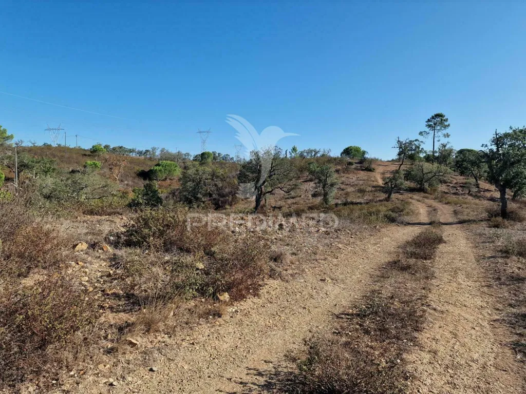 Jardin - Ruin with Construction Potential in São Francisco da Serra