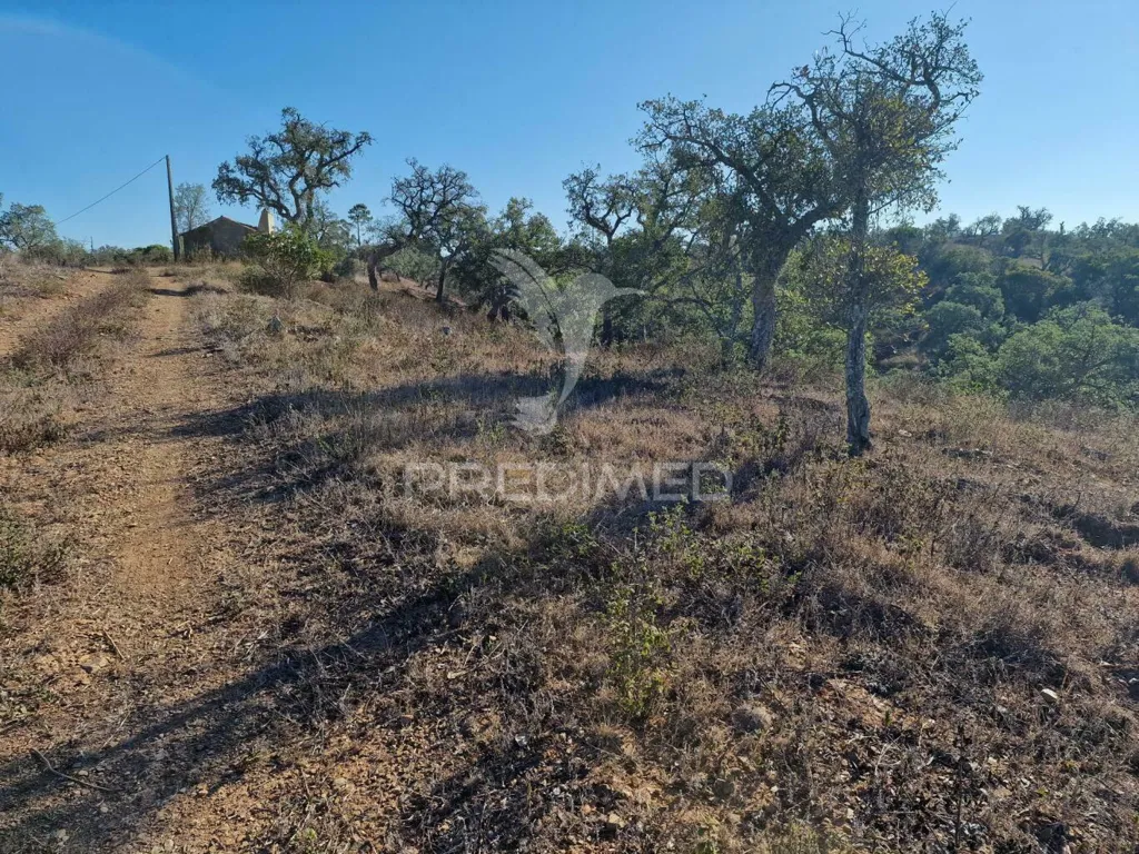 Jardin - Ruin with Construction Potential in São Francisco da Serra