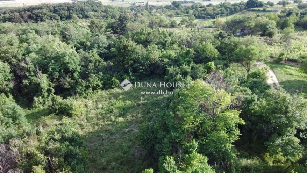 Vista aerea - Rural Plot with Panoramic View in Köveskál
