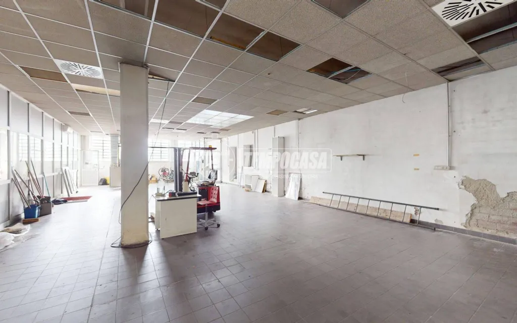 Toad - Warehouse with Development Potential in Turin