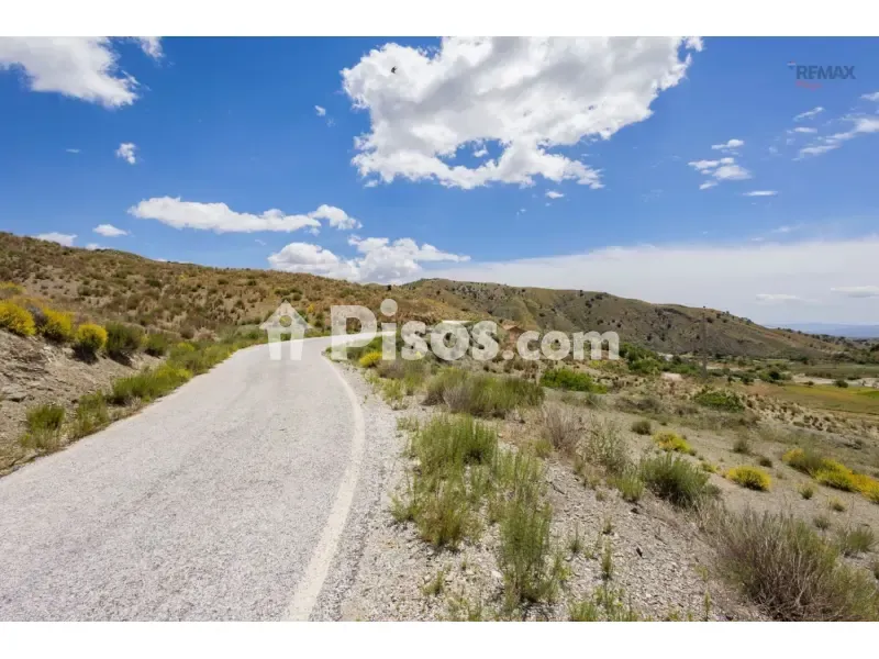 Giardino - Rustic Finca with Mountain Views in Rambla de los Pardos