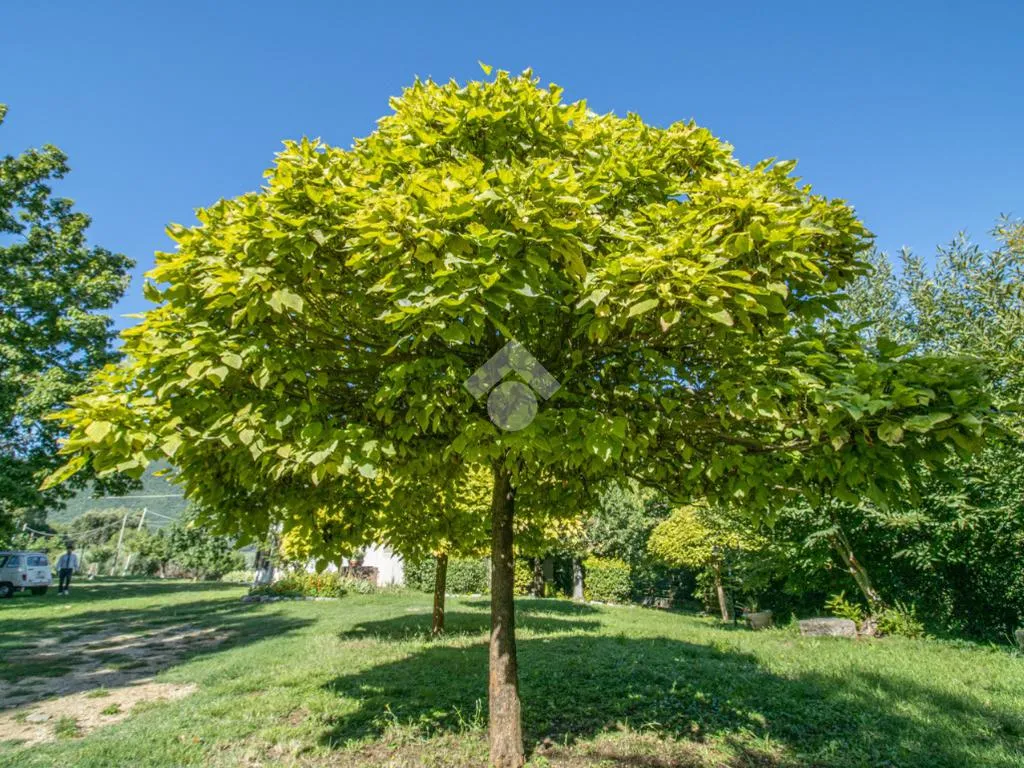 Aed - Restaurant with Garden in Cottanello, Rieti
