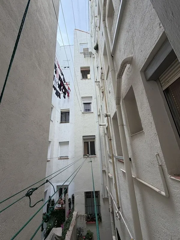 Jardin - 3-Bedroom Flat with South Orientation in Chamberí
