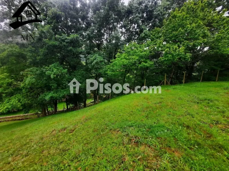 Jardin - Rustic Farm Complex with Cabañas in Valles Pasiegos