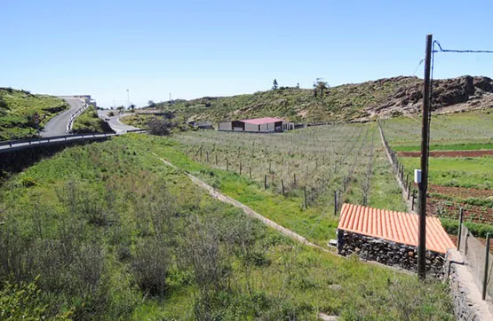 Jardin - Rustic Finca in Alajeró, Santa Cruz