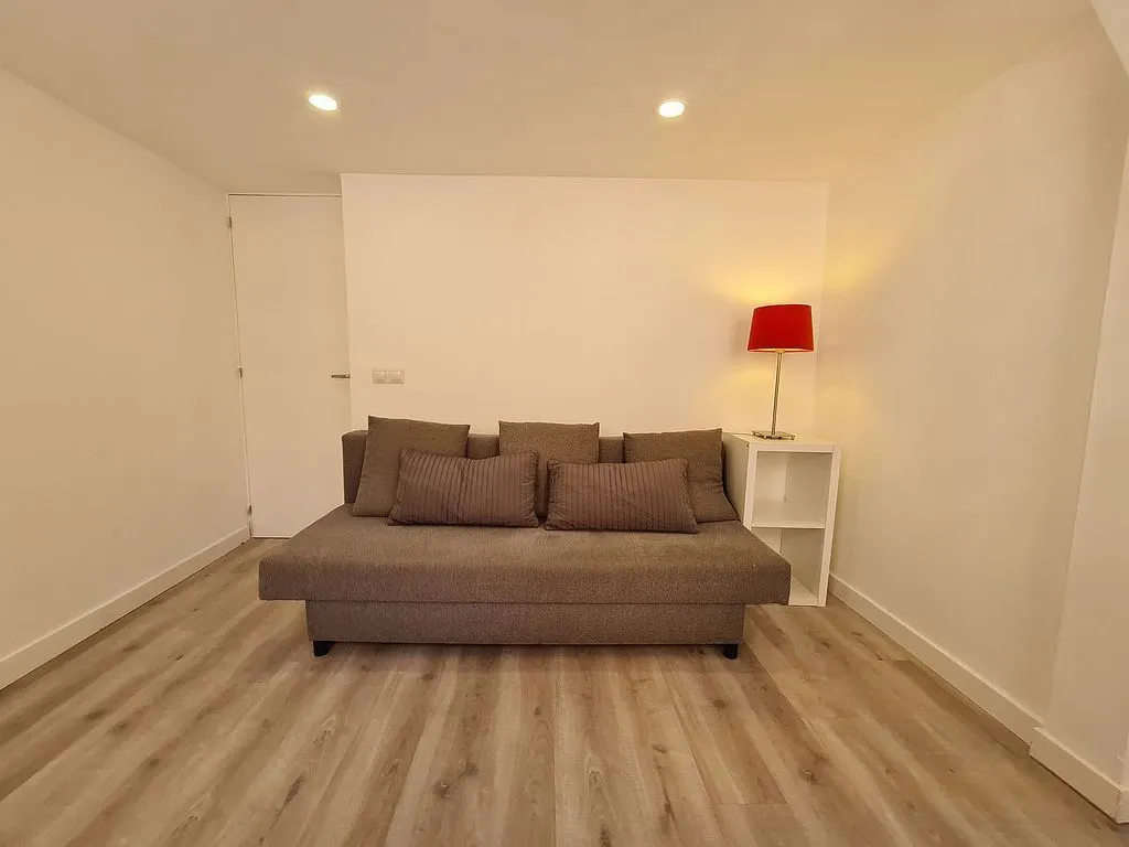 Séjour - Reformed Loft with Balcony in Ciudad Lineal