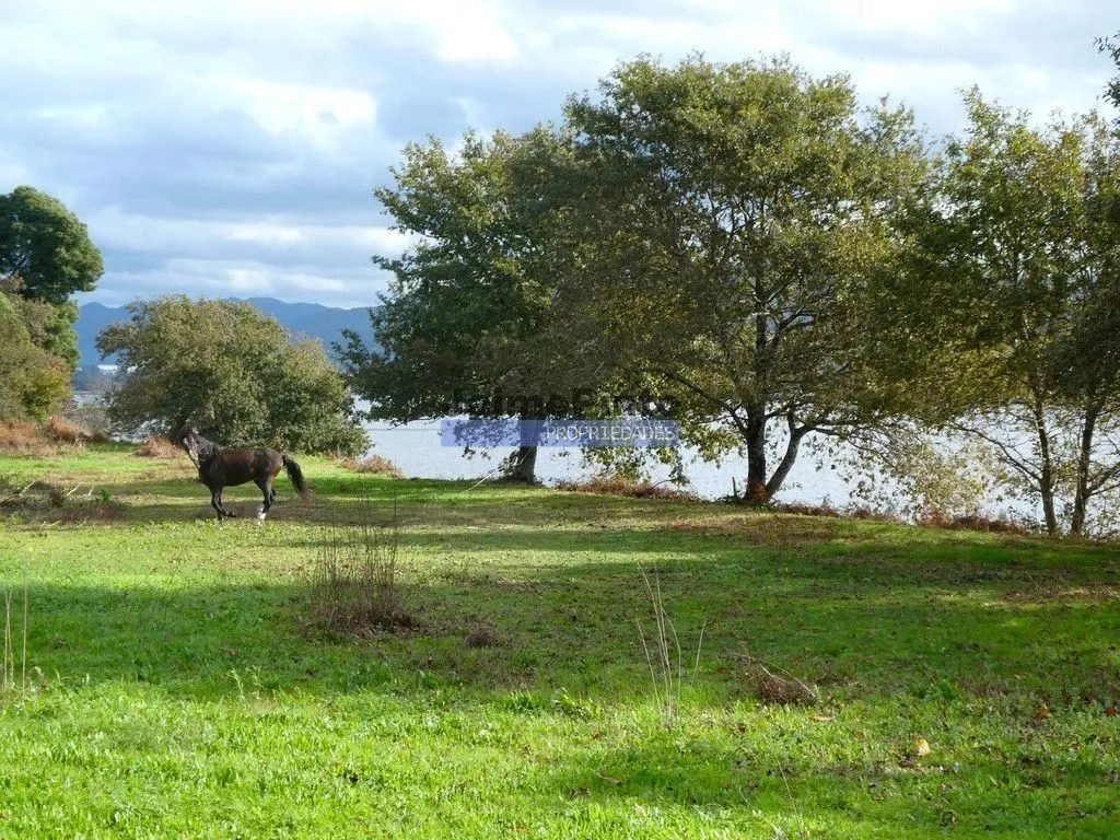Aed - Luxury Farmhouse with River View in Viana do Castelo