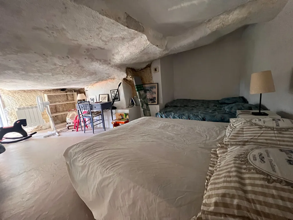 Maison semi-troglodyte avec terrasses à Montrichard Val de Cher