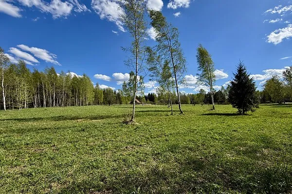 Jardin - Terrain à Kanepi vald