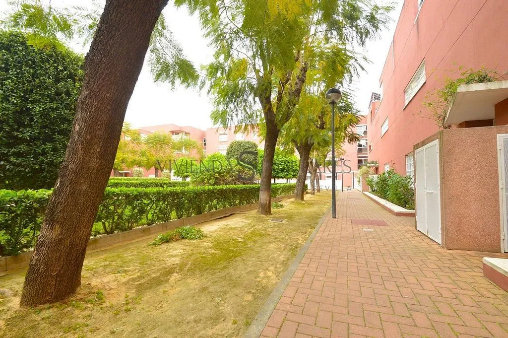 Garden - Terraced House with Terrace in El Cano, Sevilla
