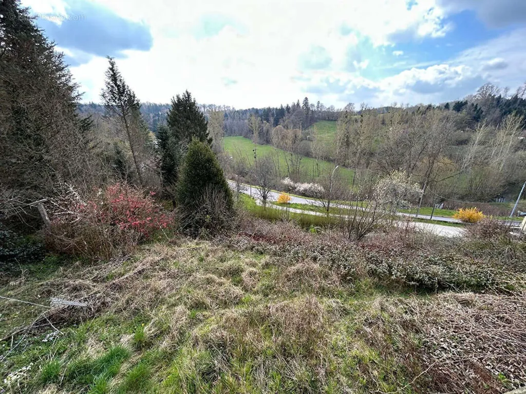 Jardin - Maison avec Vue Dégagée sur les Hauteurs de Darney