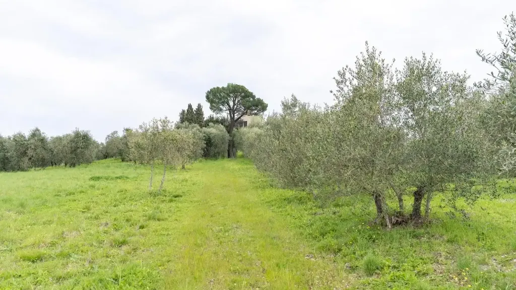 Garden - Rustic Property with Historic Convent in Fucecchio