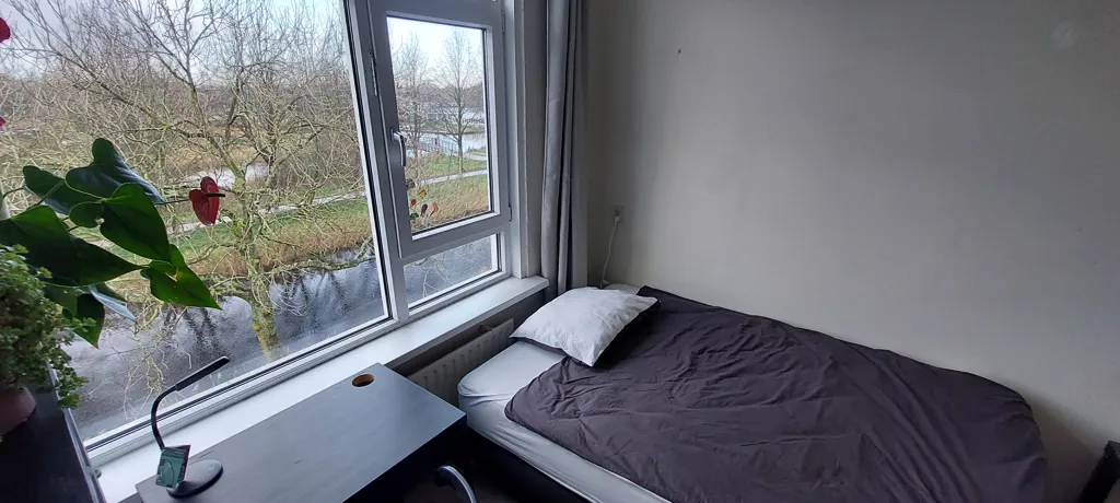 Magamistoad - Female-Only Room in Amsterdam-Noord