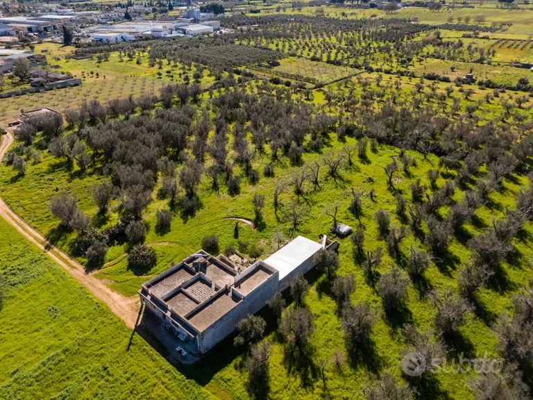Villa with Swimming Pool in Specchia