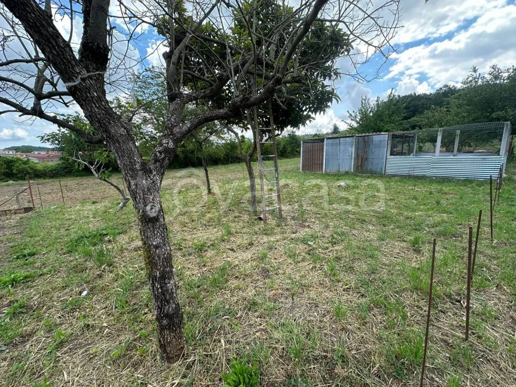 Aed - Terrace Flat with Private Garden in Caserta