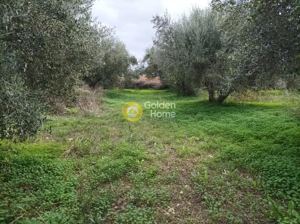 Aed - Buildable Plot with Sea View in Aprovouna, Chania