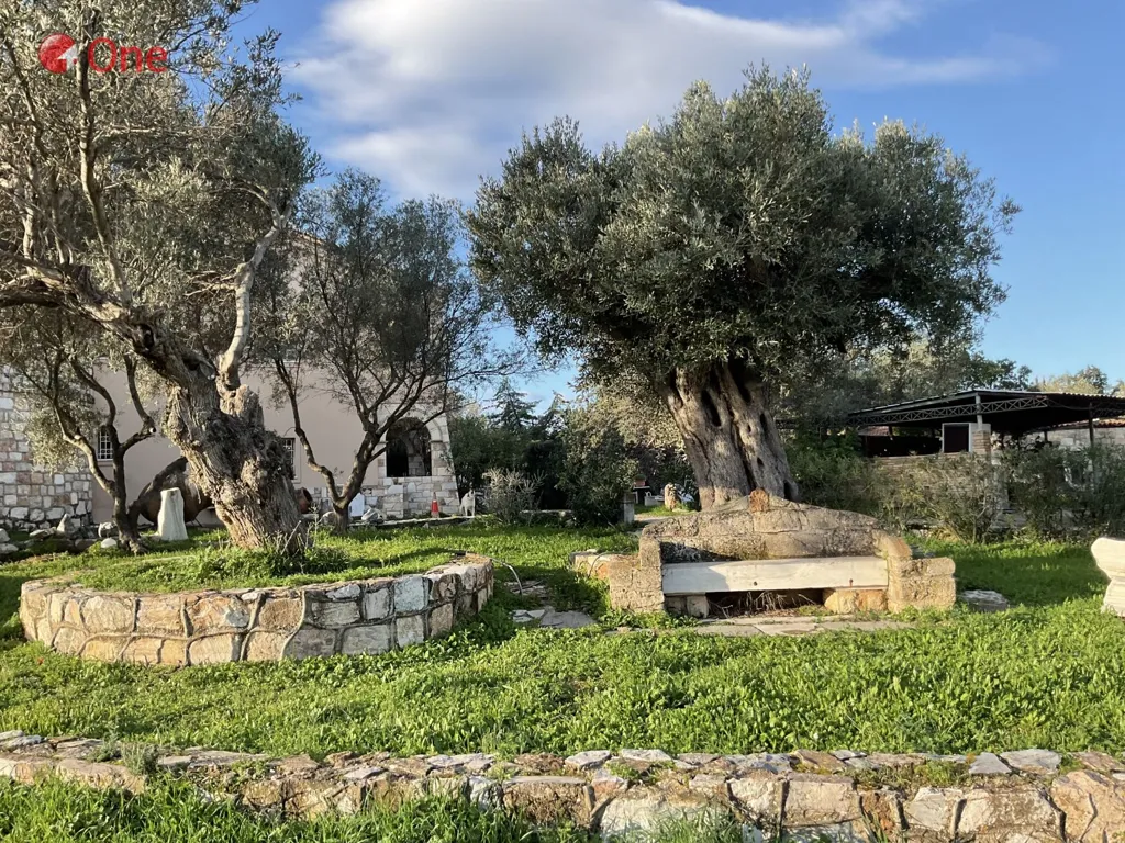 Aed - Maisonette with Garden in Markopoulo Oropou