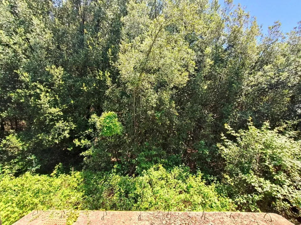 Aed - Villa with Private Park in Amelia