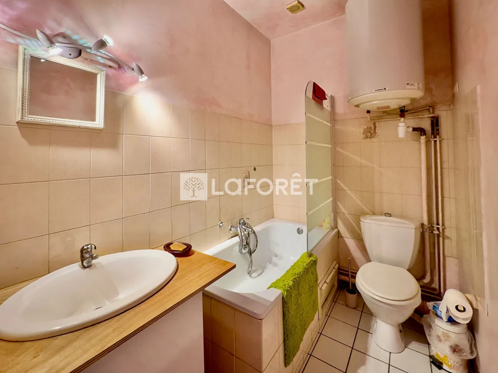 Vannitoad - 2-Bedroom Flat in Grenoble Centre